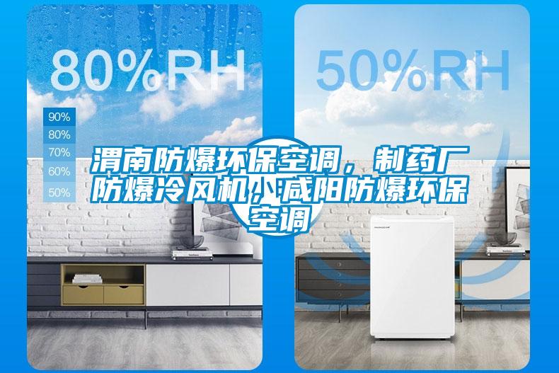 渭南防爆環(huán)?？照{(diào)，制藥廠防爆冷風(fēng)機(jī)，咸陽防爆環(huán)?？照{(diào)