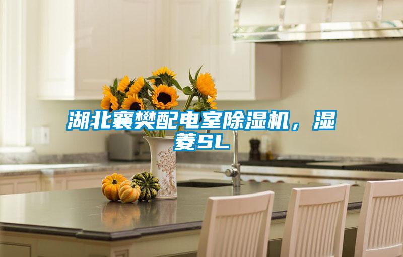 湖北襄樊配電室除濕機，濕菱SL