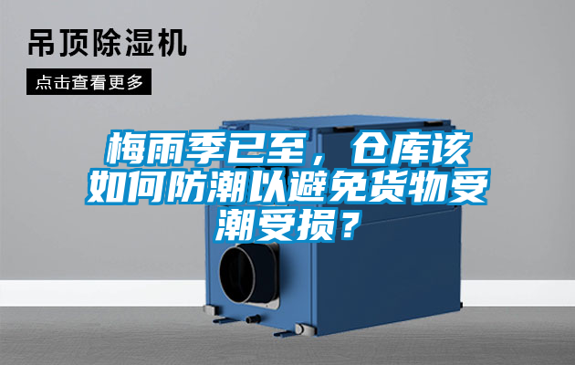 梅雨季已至，倉庫該如何防潮以避免貨物受潮受損？