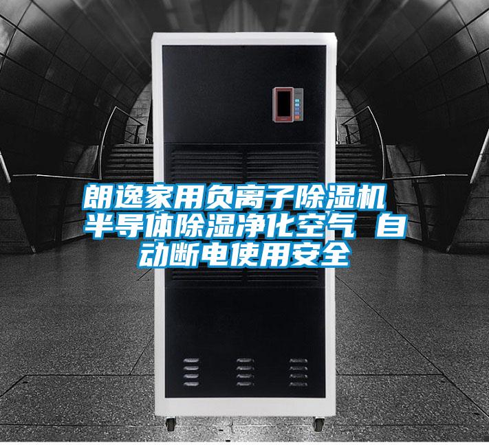 朗逸家用負離子除濕機 半導(dǎo)體除濕凈化空氣 自動斷電使用安全