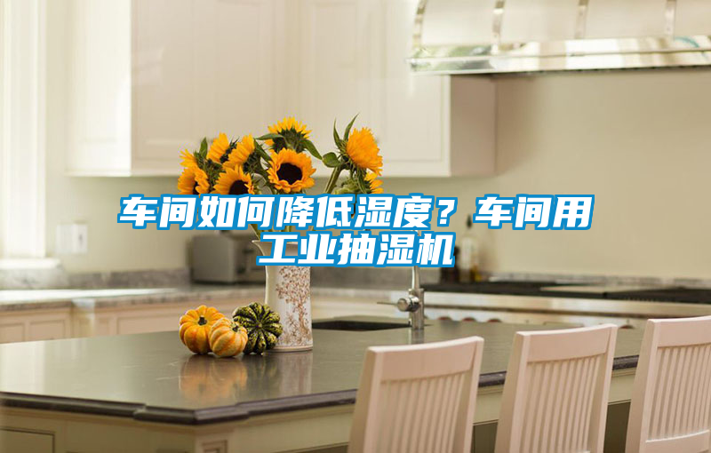 車間如何降低濕度？車間用工業(yè)抽濕機