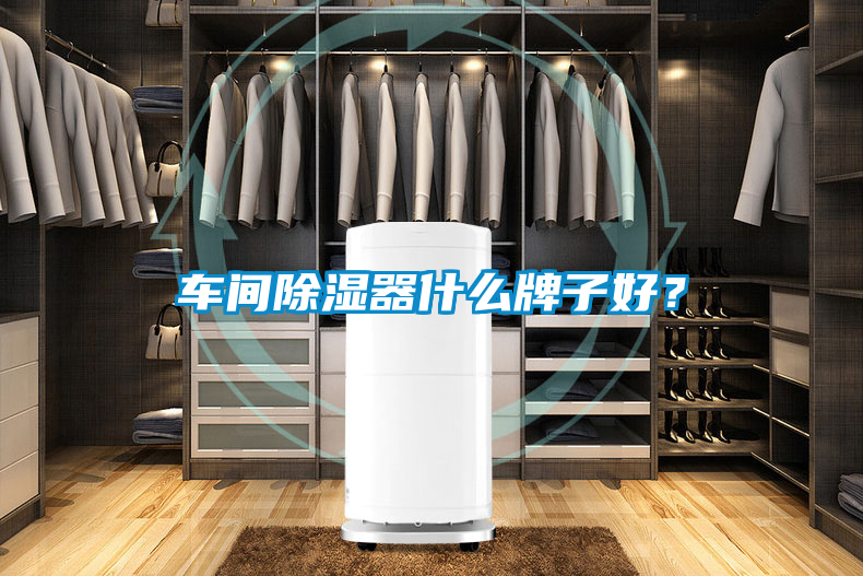 車間除濕器什么牌子好？