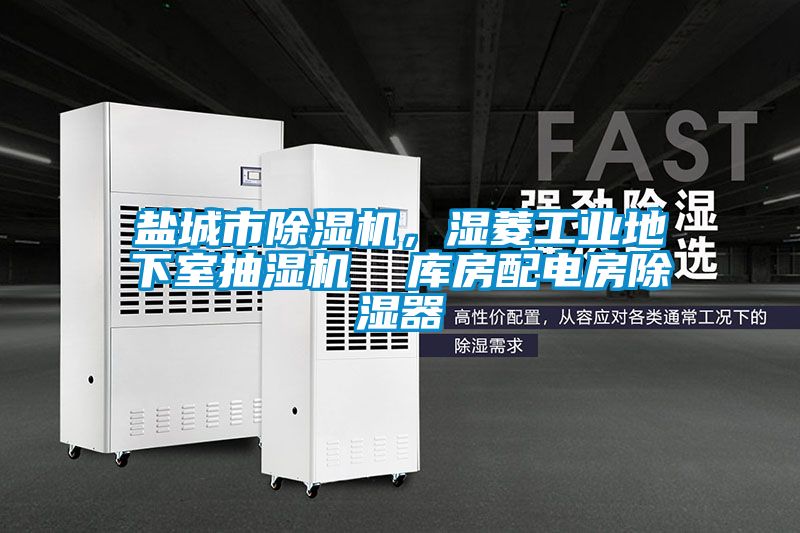 鹽城市除濕機，濕菱工業(yè)地下室抽濕機  庫房配電房除濕器