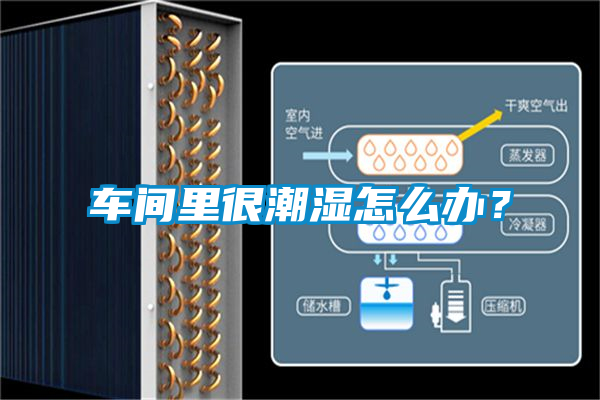 車間里很潮濕怎么辦？