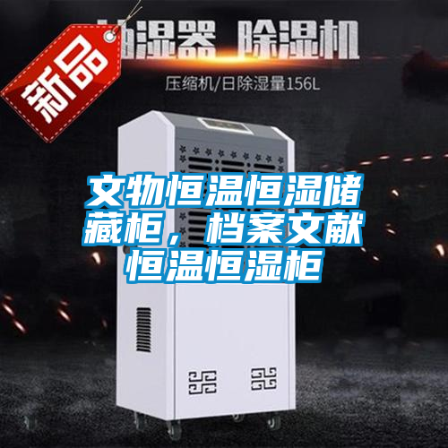 文物恒溫恒濕儲藏柜，檔案文獻(xiàn)恒溫恒濕柜