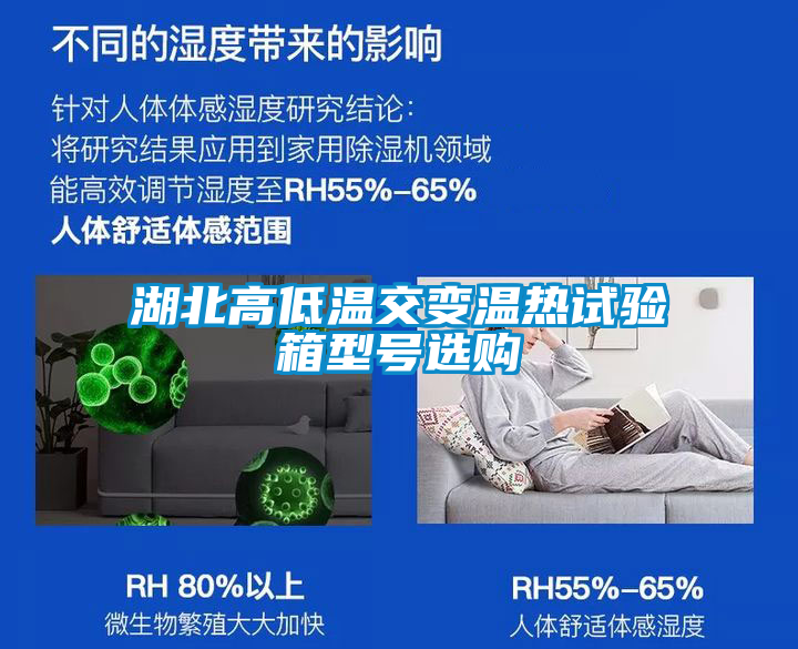 湖北高低溫交變溫?zé)嵩囼?yàn)箱型號(hào)選購