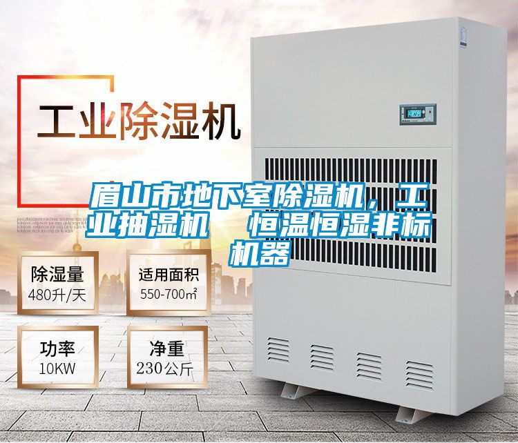 眉山市地下室除濕機，工業(yè)抽濕機  恒溫恒濕非標機器
