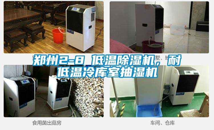 鄭州2-8℃低溫除濕機(jī)，耐低溫冷庫(kù)室抽濕機(jī)