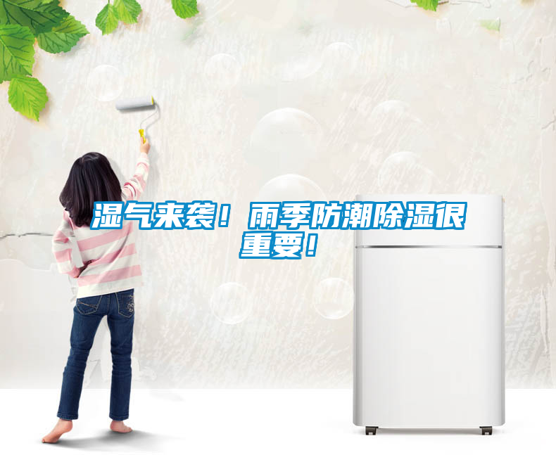 濕氣來襲！雨季防潮除濕很重要！