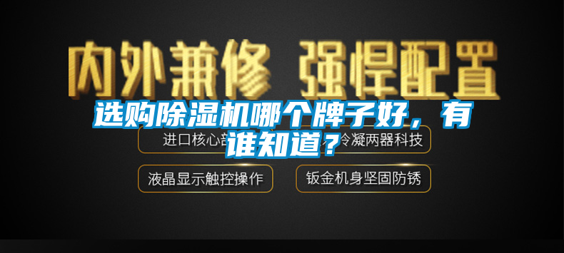 選購除濕機(jī)哪個牌子好，有誰知道？
