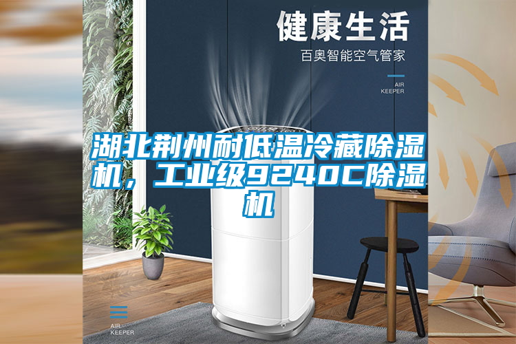 湖北荊州耐低溫冷藏除濕機(jī)，工業(yè)級(jí)9240C除濕機(jī)