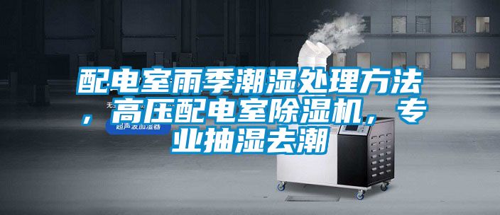 配電室雨季潮濕處理方法，高壓配電室除濕機(jī)，專(zhuān)業(yè)抽濕去潮