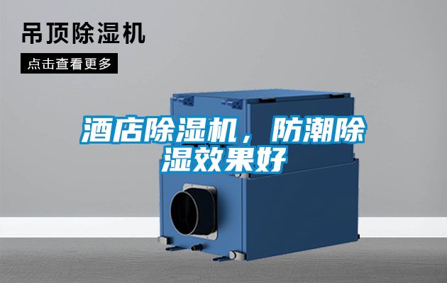 酒店除濕機，防潮除濕效果好