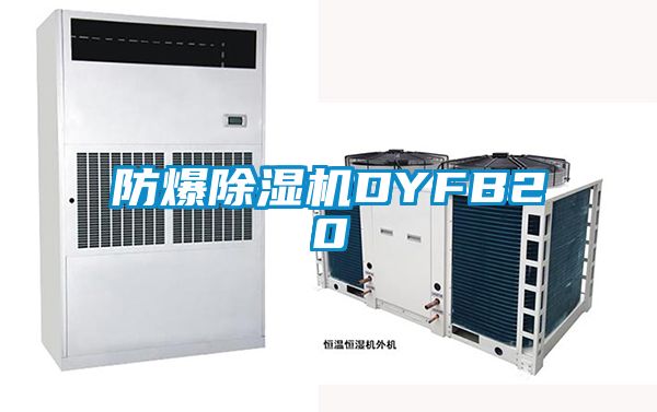 防爆除濕機(jī)DYFB20