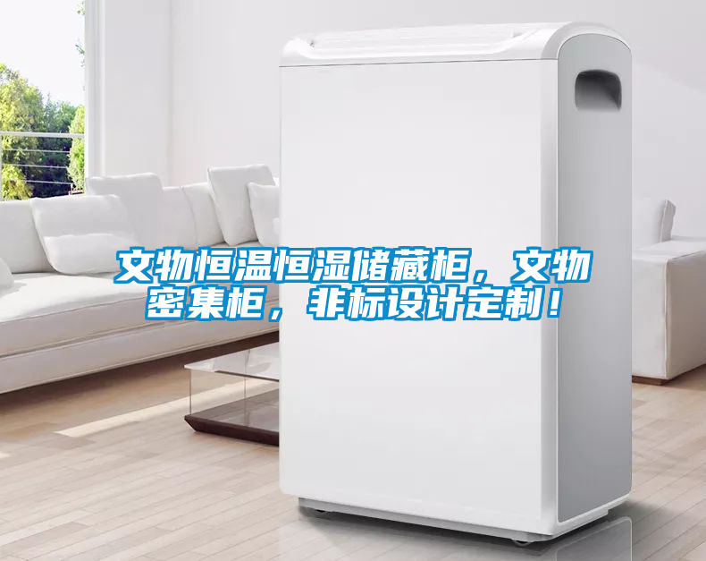 文物恒溫恒濕儲藏柜，文物密集柜，非標(biāo)設(shè)計(jì)定制！