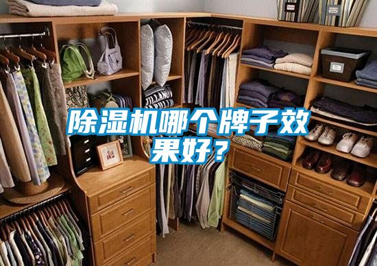 除濕機哪個牌子效果好？