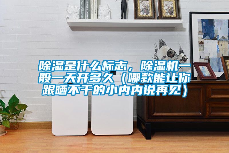 除濕是什么標志，除濕機一般一天開多久（哪款能讓你跟曬不干的小內(nèi)內(nèi)說再見）