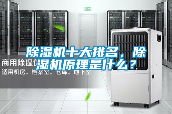除濕機(jī)十大排名，除濕機(jī)原理是什么？