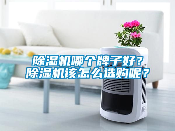 除濕機哪個牌子好？除濕機該怎么選購呢？