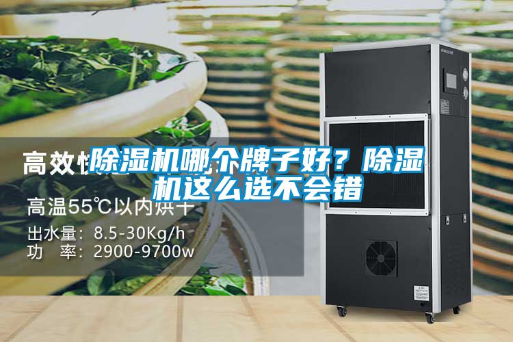 除濕機(jī)哪個(gè)牌子好？除濕機(jī)這么選不會(huì)錯(cuò)