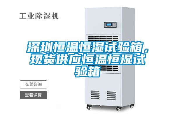深圳恒溫恒濕試驗箱，現(xiàn)貨供應(yīng)恒溫恒濕試驗箱