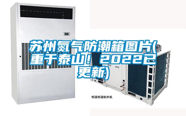 蘇州氮氣防潮箱圖片(重于泰山！2022已更新)