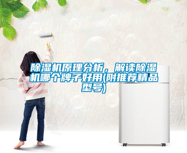 除濕機(jī)原理分析，解讀除濕機(jī)哪個(gè)牌子好用(附推薦精品型號(hào))