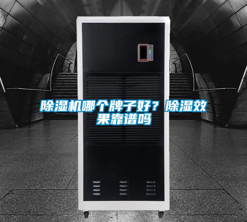除濕機(jī)哪個(gè)牌子好？除濕效果靠譜嗎