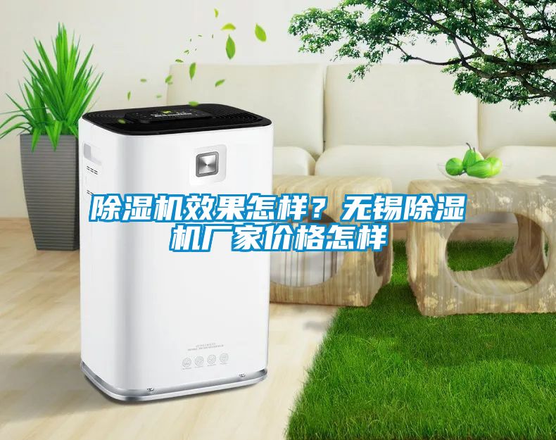 除濕機效果怎樣？無錫除濕機廠家價格怎樣