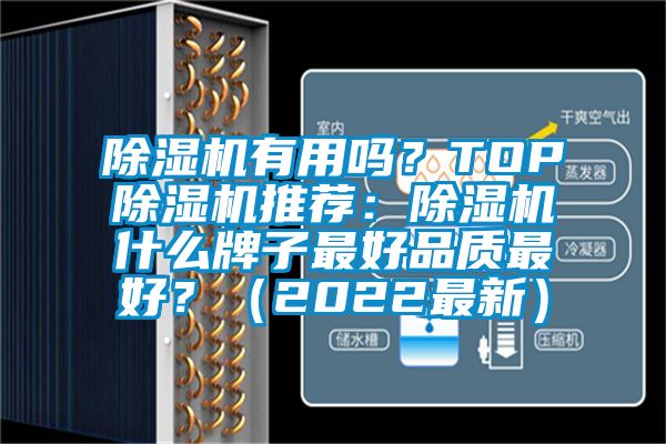 除濕機有用嗎？TOP除濕機推薦：除濕機什么牌子最好品質(zhì)最好？（2022最新）