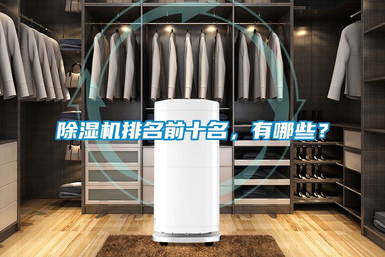 除濕機(jī)排名前十名，有哪些？