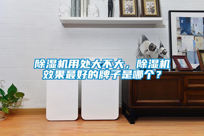 除濕機用處大不大，除濕機效果最好的牌子是哪個？
