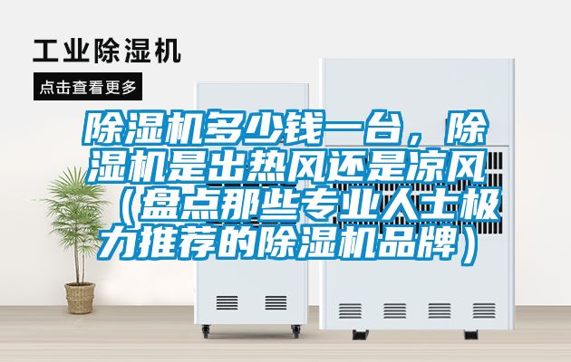 除濕機(jī)多少錢一臺(tái)，除濕機(jī)是出熱風(fēng)還是涼風(fēng)（盤點(diǎn)那些專業(yè)人士極力推薦的除濕機(jī)品牌）
