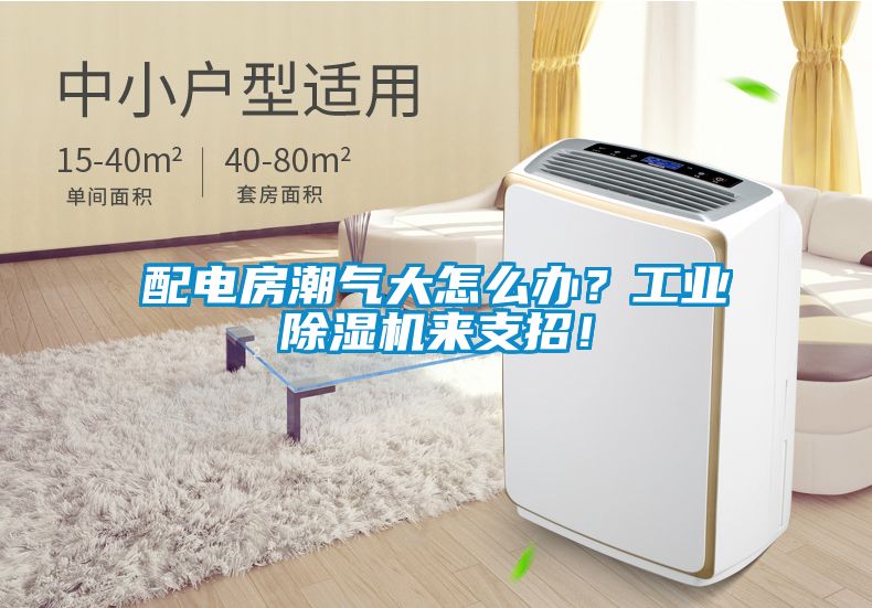 配電房潮氣大怎么辦？工業(yè)除濕機(jī)來(lái)支招！