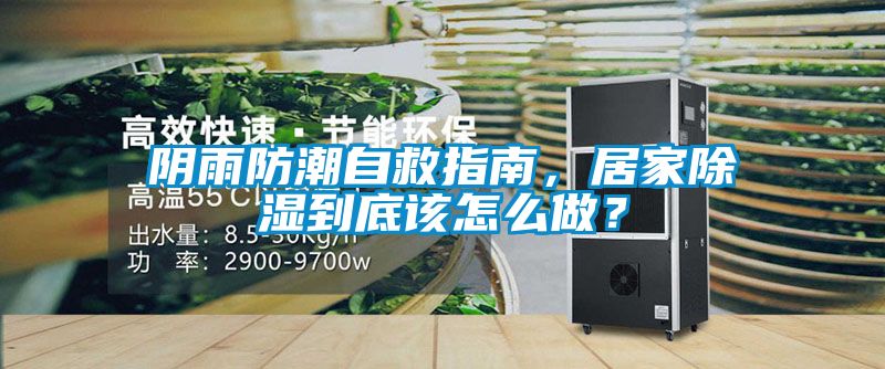 陰雨防潮自救指南，居家除濕到底該怎么做？