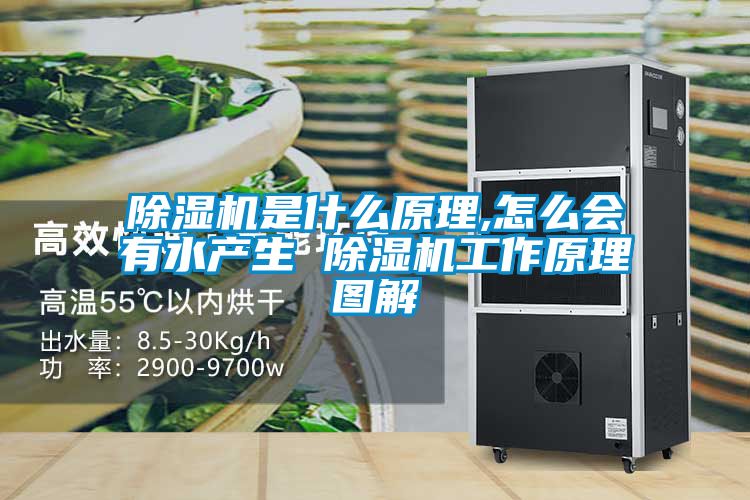 除濕機(jī)是什么原理,怎么會(huì)有水產(chǎn)生 除濕機(jī)工作原理圖解