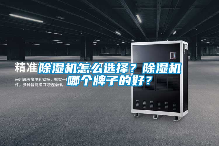 除濕機(jī)怎么選擇？除濕機(jī)哪個牌子的好？