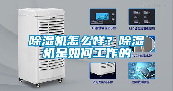 除濕機怎么樣？除濕機是如何工作的