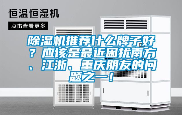除濕機(jī)推薦什么牌子好？應(yīng)該是最近困擾南方、江浙、重慶朋友的問題之一！