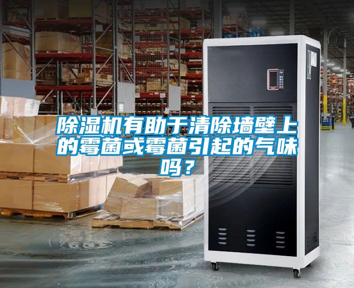 除濕機(jī)有助于清除墻壁上的霉菌或霉菌引起的氣味嗎？