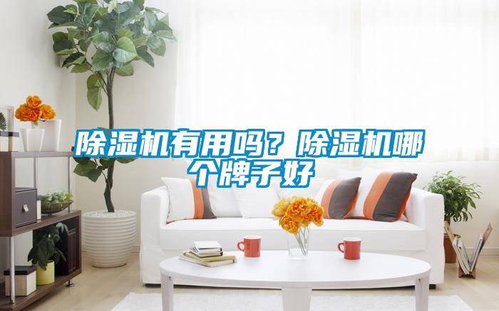 除濕機有用嗎？除濕機哪個牌子好