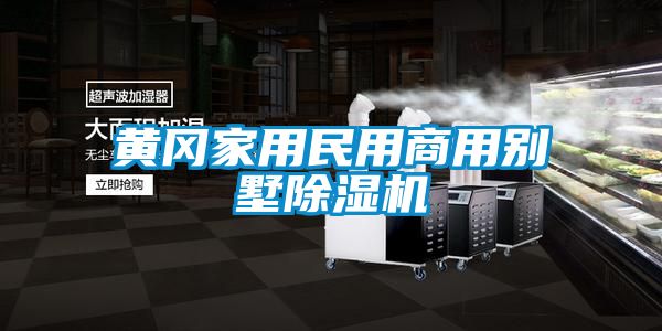 黃岡家用民用商用別墅除濕機