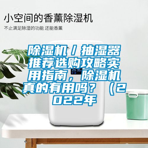 除濕機(jī)／抽濕器推薦選購攻略實(shí)用指南，除濕機(jī)真的有用嗎？（2022年