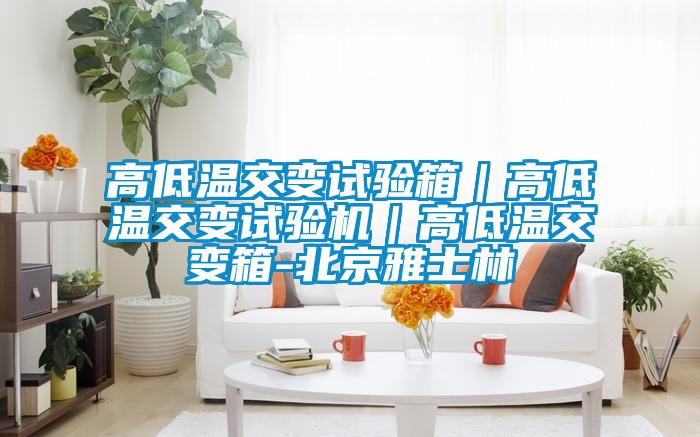 高低溫交變試驗箱｜高低溫交變試驗機(jī)｜高低溫交變箱-北京雅士林
