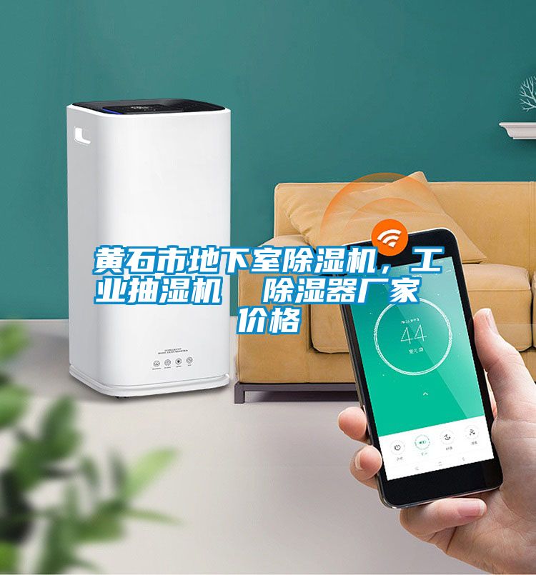 黃石市地下室除濕機(jī)，工業(yè)抽濕機(jī)  除濕器廠家 價(jià)格