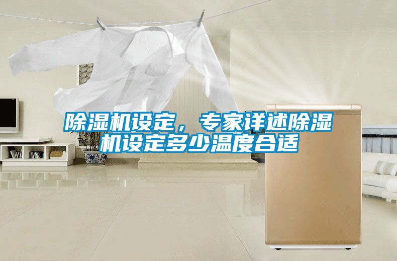除濕機(jī)設(shè)定，專(zhuān)家詳述除濕機(jī)設(shè)定多少溫度合適