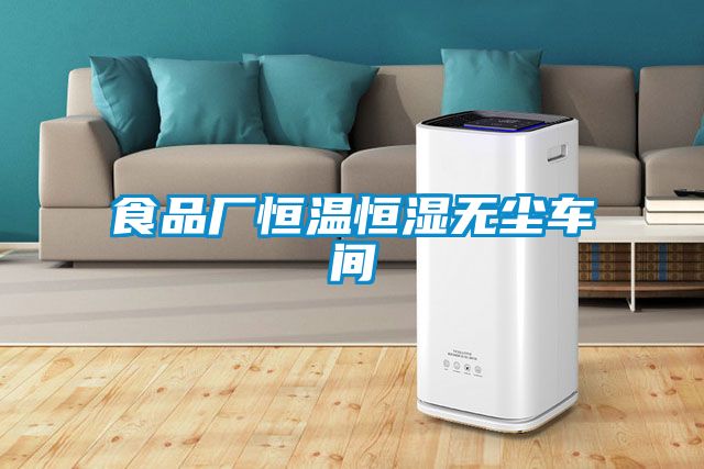 食品廠恒溫恒濕無(wú)塵車(chē)間