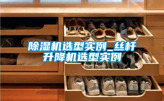 除濕機選型實例_絲桿升降機選型實例