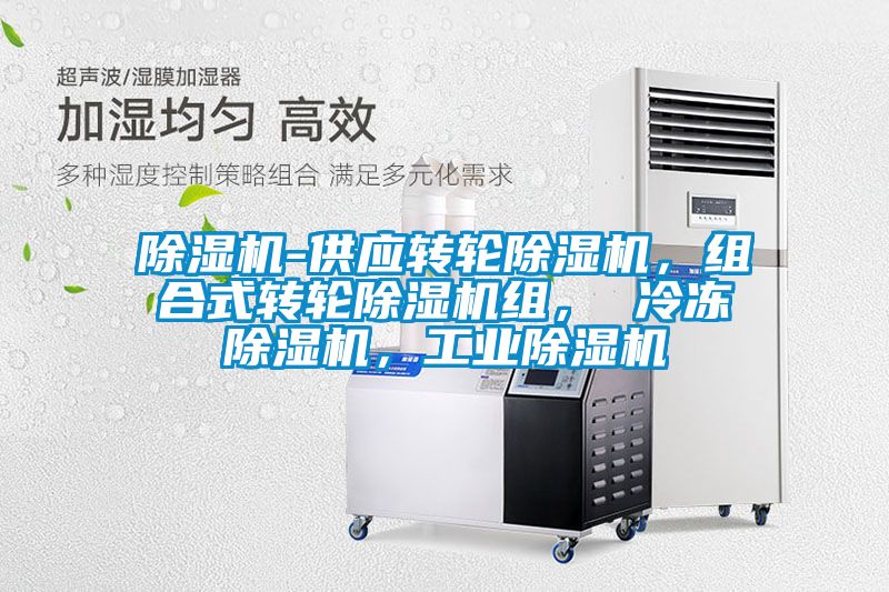 除濕機-供應轉(zhuǎn)輪除濕機，組合式轉(zhuǎn)輪除濕機組， 冷凍除濕機，工業(yè)除濕機