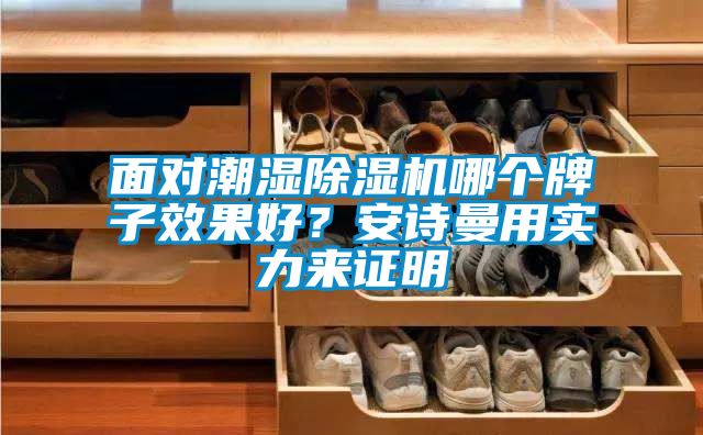 面對潮濕除濕機哪個牌子效果好？安詩曼用實力來證明